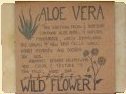 Aloe Vera Wildflower